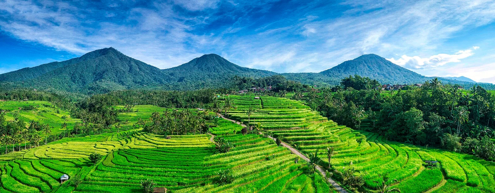 Jatiluwih rice terraces in Bali