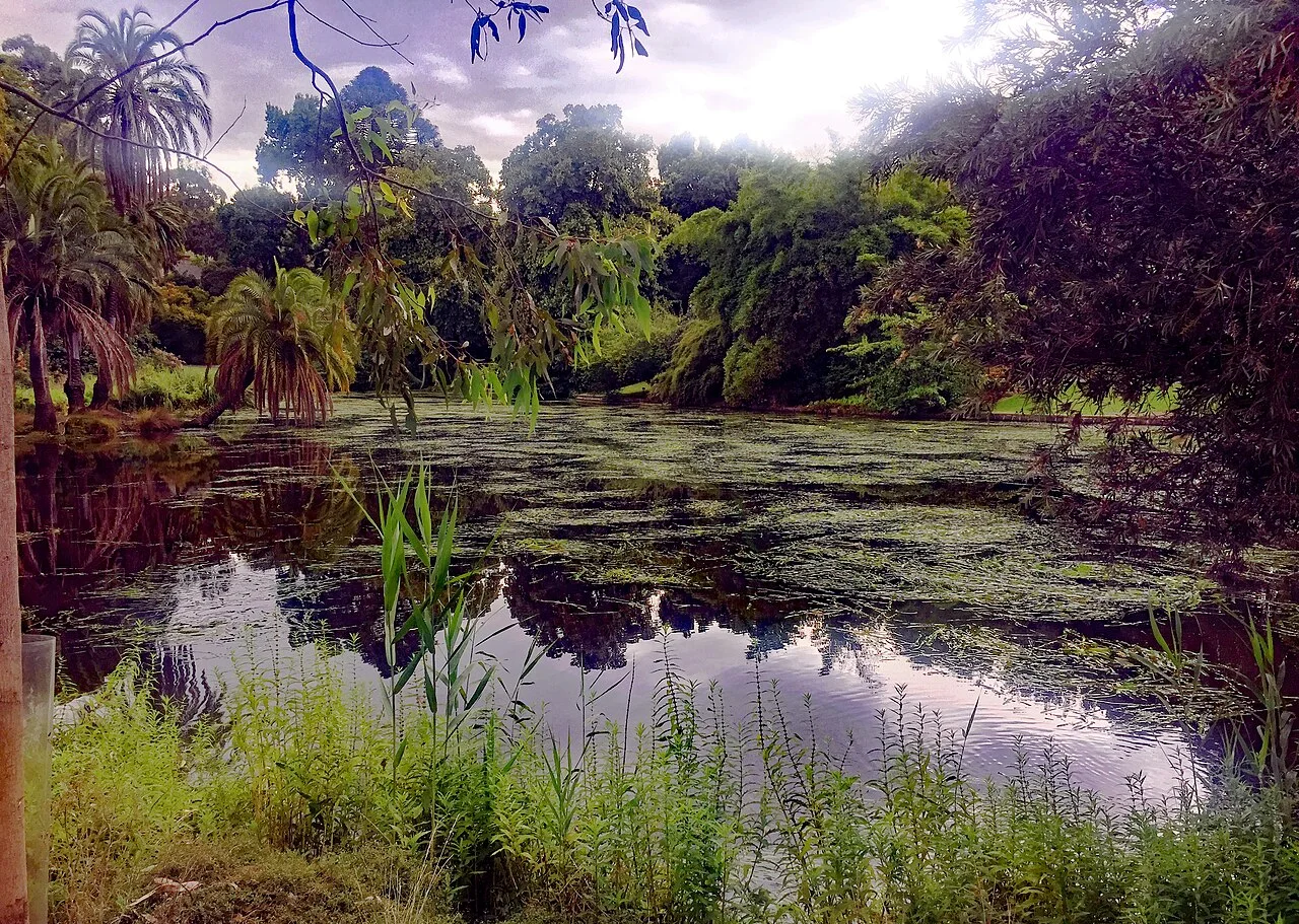 Ornamental Lake at Royal Botanic Gardens Melbourne