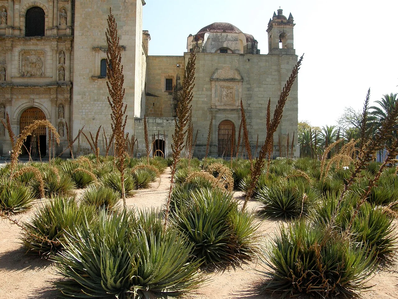 Santo Domingo church in Oaxaca