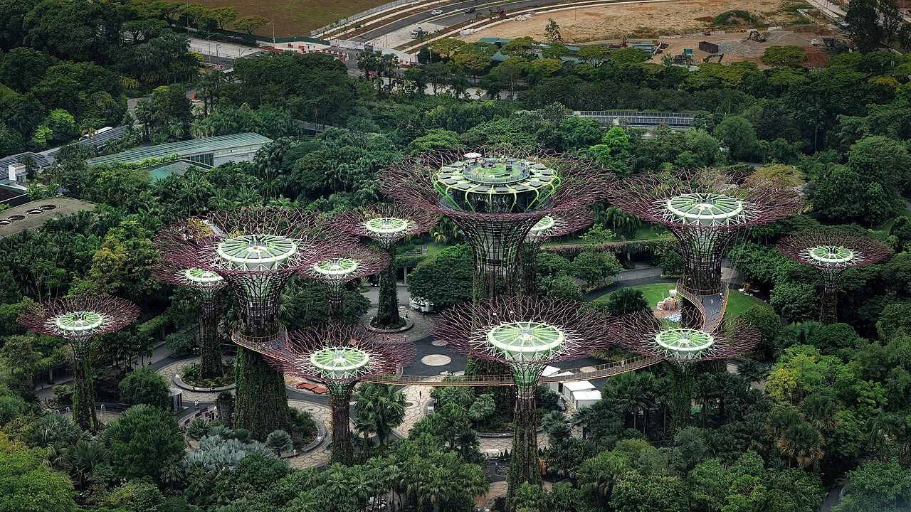 Elevated view of Supertree Grove at Gardens by the Bay · 2024