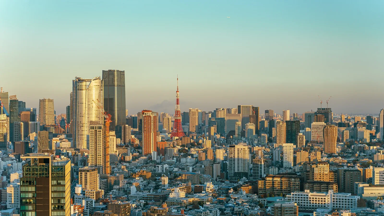 Minato skyline with Tokyo Tower among the buildings of Tokyo