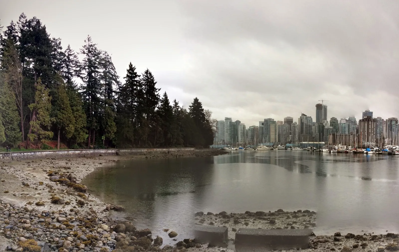 Costa de Stanley Park y edificios de Vancouver en una fotografía de 2015
